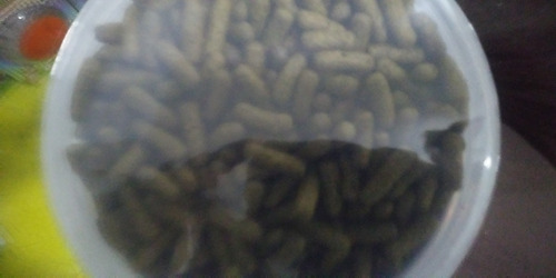 Imagen 2 de 2 de Tropical Alimento Cichlid Spirulina Large Sticks 300g Peces