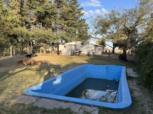 Imagen 18 de 20 de En Venta!!! Casa Quinta Frente A Rn 188, Km 153. (junín - Ba)