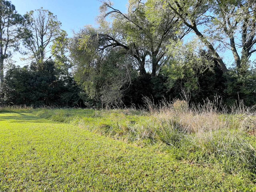 Imagen 6 de 8 de Lote En Esquina En Chascomus A Mts De La Estancia San Matias
