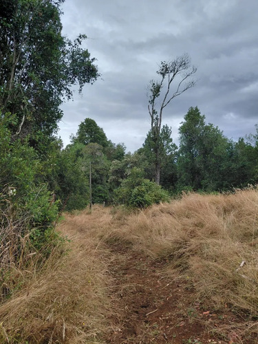Espectacular Campo De 200 Hectareas En Loncoche