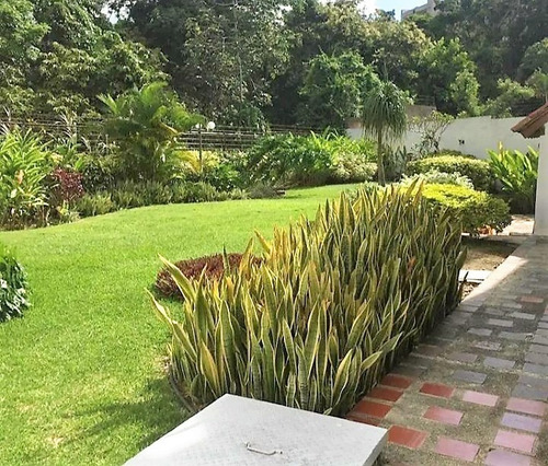 Imagen 8 de 8 de Vendo Hermosa Casa, Diseño Moderno, En Urb. Prebo Ii