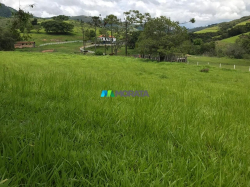 Imagem 7 de 15 de Fazenda - Zona Rural - Ref: 5020 - V-mta5020