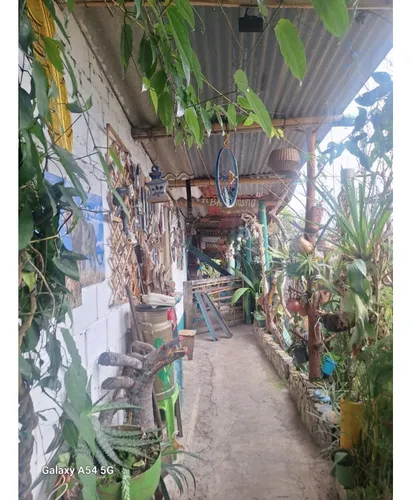 Venta Casa Campestre Salento. Quindío - Colombia Cod: 9054527