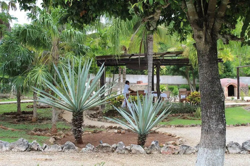 Eco Hotel En Tecoh