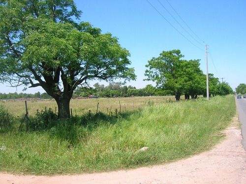 Imagen 2 de 8 de Alquiler Campo Centro Mariano Acosta, Muy Bueno