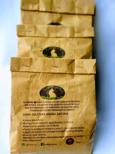 20 Semillas Hierba Gatera Pasto De Gato Digestiva, Isiflor