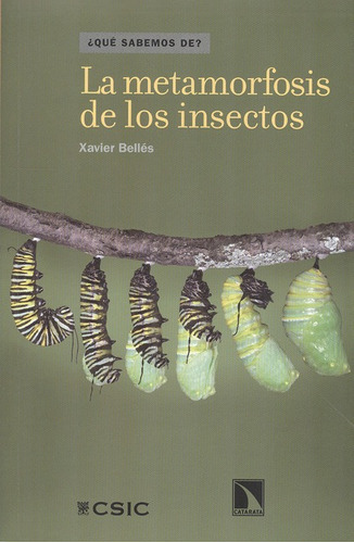 Libro La Metamorfosis De Los Insectos