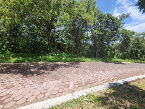 Venta Lote San Diego 54 Mz Xvi Muy Cerca De La Entrada Y De Las Amenidades Del Fracc Rancho San Diego Ixtapan De La Sal Edomex