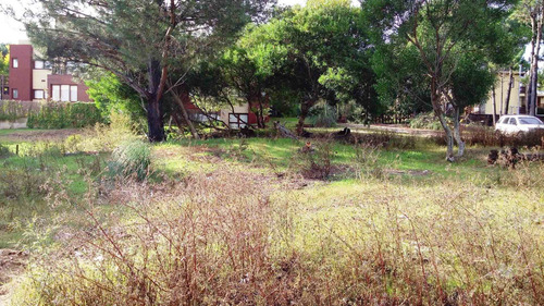 Imagen 7 de 12 de Lote Multifamiliar Hotelero - Las Gaviotas
