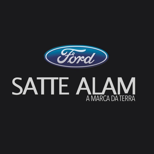 Promoção Caixa De Aditivo Motorcraft Com 12 Unidades