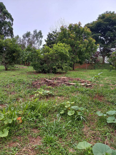 Imagem 7 de 30 de Chácara 28.340m2, Rica Em Água Com Açude, Árvores Frutíferas, Casa Sede Com 182m2, 2 Dormitórios, 1 Suíte, Curral, Pomar, Pasto, Poço Caipira - Ch00201 - 70578843