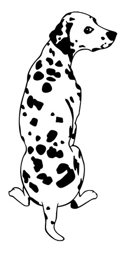 Adesivo De Parede - Cachorro Dalmata Pet Petshop 160x81cm