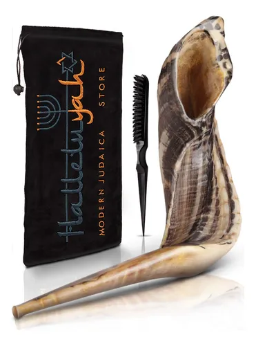 Cuerno De Carnero Shofar Halleluyah De 14 A 16 Cm, Kosher, I