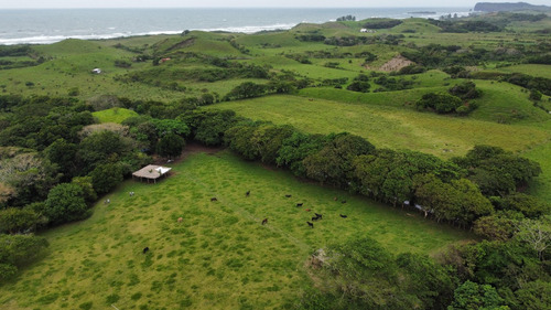 Terreno En Venta En Roca Partida Con Río Cruzando La Propiedad Y Nacimiento De Agua Dulce