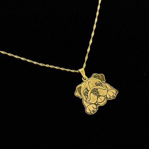 Cadena Y Dije Perro Bulldog Inglés Mascota Oro 18k Oro 18k 55 Cm
