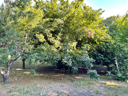 Imagen 12 de 30 de Casa Quinta Sobre Lote De 5.000 M2 La Gloria De La Peregrina