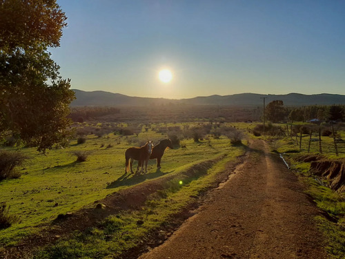 Lindo Campo Para Desarrollo Inmobiliario