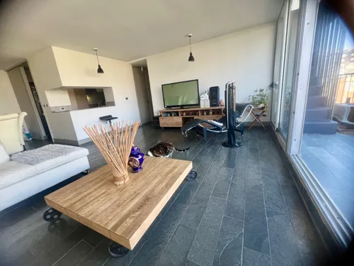 Penthouse 1 Dormitorio 2 Baños Y Azotea En Providencia