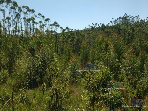 Ref.: 5467 - Area Em Pilar Do Sul Para Venda - V5467