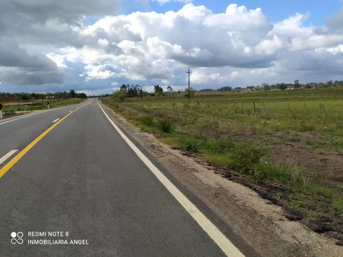 Vendo Muy Buen Campo Con 2 Casas, 4 Tajamares, Pozo 6.000 L/hora, Todo Alambrado