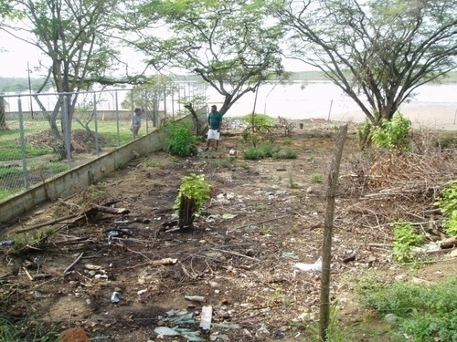 Imagen 9 de 30 de Maria Eugenia Blanco Vende Terreno En Morrocoy, Falcon 386942