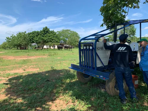 Finca Ganadera