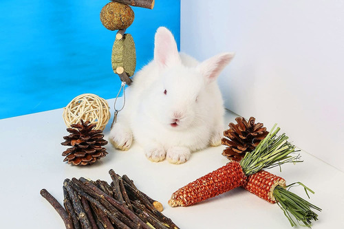 Pstardmoon - Juguetes Para Masticar Conejos, Juguetes Molare