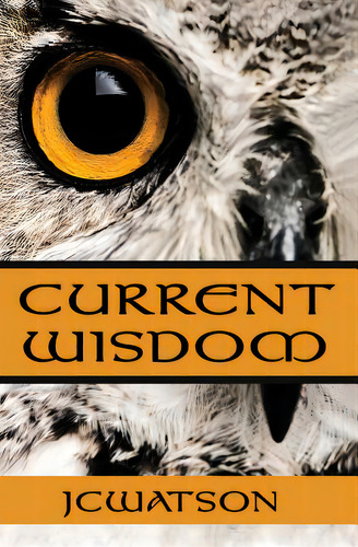 Current Wisdom, De Jcwatson. Editorial Lightning Source Inc, Tapa Blanda En Inglés