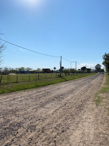 Vendo Terreno En Luis Palacios 550m2