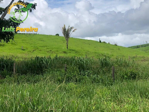 Imagem 4 de 15 de Fazenda À Venda Em Pacajá - Pa 692,12 Hectares - 2094
