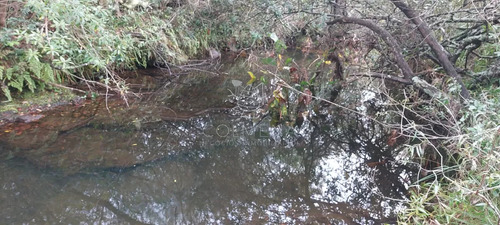 Campo En Carape Son 42 Hs 2293 M2
