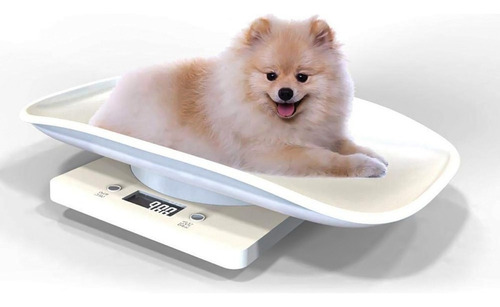 Báscula Veterinaria Digital Capacidad 10kg ± 1g Para Mascota