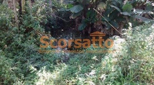 Imagem 7 de 9 de Chácara À Venda, Santa Isabel, Embu Guaçu/sp. - 5960