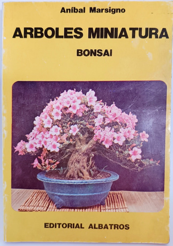 Bonsai Arboles Miniatura Aníbal Marsigno