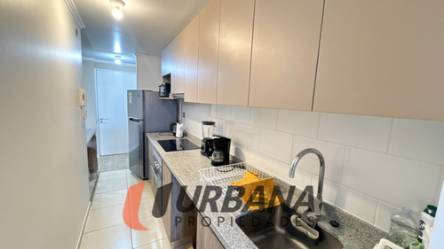 Departamento Amoblado En Condominio Ulricksen