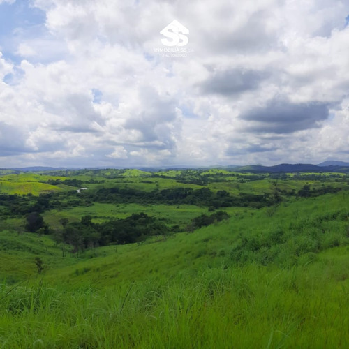Finca En Venta - Guárico - Granja De Porcina