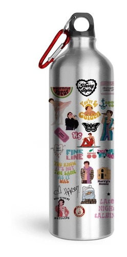 Termo Botella Harry Styles Colors 750ml, Botella Aluminio