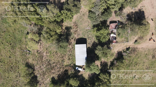 Imagen 4 de 18 de Chacra En Venta De 40 Has - En Saladillo Campo Mixto Con Mejoras