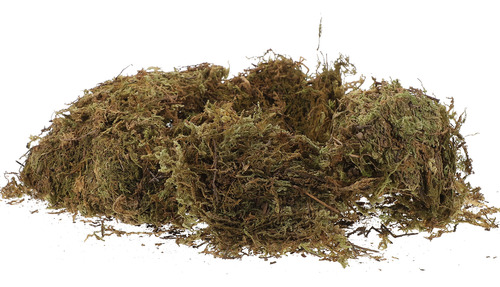 Musgo Seco Moss Habitat, 2 Paquetes