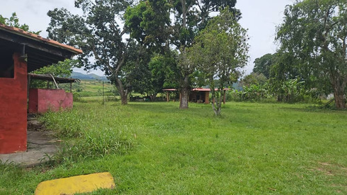 Finca 58 Hectareass, 90% Plana , Agua, Electricidad , Documentos En Bejuma Carabobo 2
