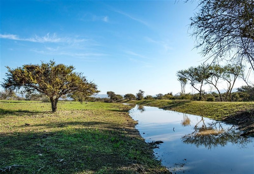 Imagen 25 de 28 de Agrícola En Venta En Zapallar