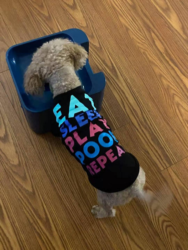 Lanzador Automático De Pelotas Para Perros 3 Bolas
