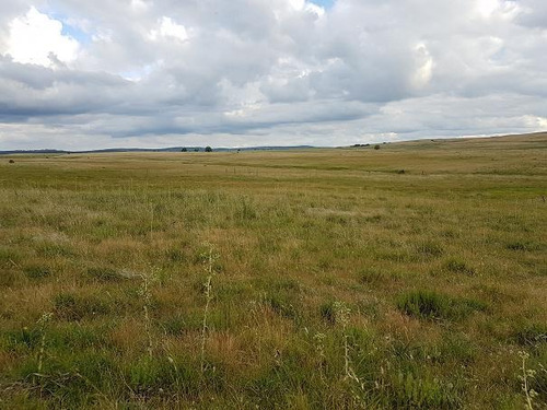 Campo En Mariscala - Lavalleja Ruta 8