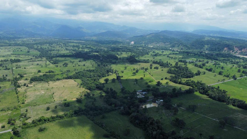 Imagen 5 de 16 de Finca Ganadera En Coloncito Excelente Tierras