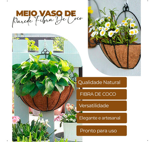 6 Meio Vaso De Parede Fibra De Coco Meia Lua Parede Orquidea