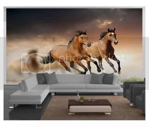 Papel De Parede Paisagem Animais Cavalo Pulando Céu M² Anm84