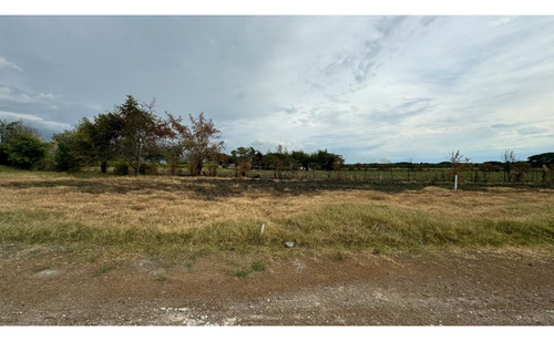 Lotes En Parcelación Cerrada En Venta Ginebra Valle Del Cauca Colombia