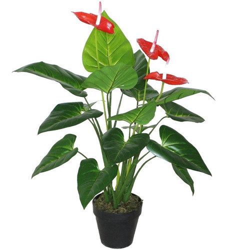 Planta Decorativa Anthurium 80 Cms.