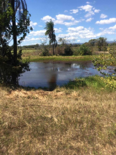 Imagen 6 de 19 de En Venta Finca De 50 Hectáreas, Ubicada En El Estado Ciojede