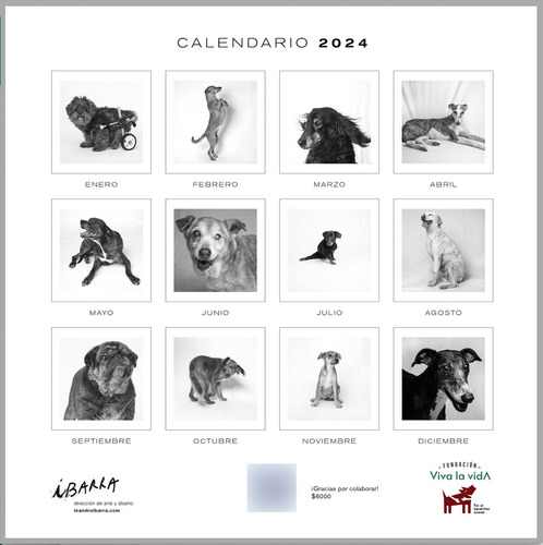 Calendario 2024 A Beneficio De Fundación Viva La Vida